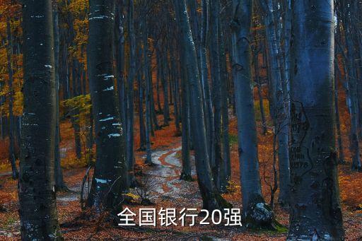 全國銀行20強