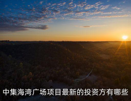 中集海灣廣場項目最新的投資方有哪些