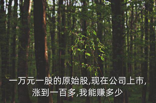 一萬元一股的原始股,現在公司上市,漲到一百多,我能賺多少