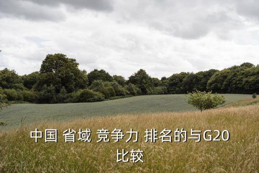 中國(guó) 省域 競(jìng)爭(zhēng)力 排名的與G20比較