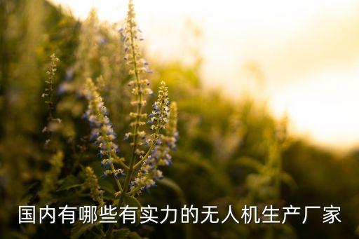 國內(nèi)有哪些有實力的無人機(jī)生產(chǎn)廠家