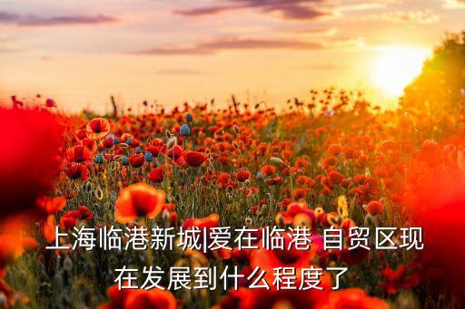 上海臨港新城|愛(ài)在臨港 自貿(mào)區(qū)現(xiàn)在發(fā)展到什么程度了
