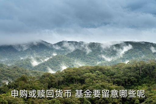 申購(gòu)或贖回貨幣 基金要留意哪些呢