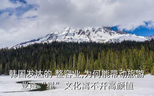 韓國發(fā)達的 整容業(yè),為何能帶動旅游業(yè)造“星”文化離不開高顏值