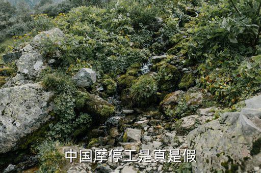 中國摩停工是真是假