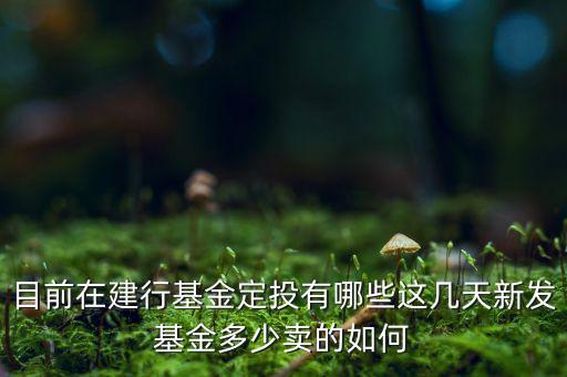 目前在建行基金定投有哪些這幾天新發(fā)基金多少賣(mài)的如何