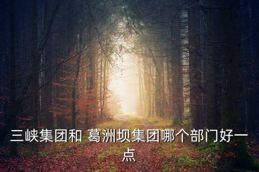 三峽集團(tuán)和 葛洲壩集團(tuán)哪個部門好一點