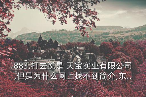883,打去說是 天寶實業(yè)有限公司,但是為什么網(wǎng)上找不到簡介,東...