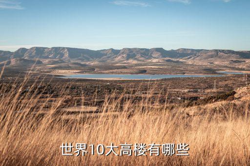 蘇州帕德森新材料有限公司,蘇州德森瑞芯半導(dǎo)體科技有限公司