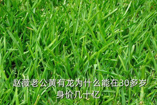  趙薇老公黃有龍為什么能在30多歲身價(jià)幾十億