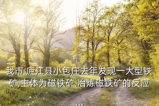 廬江縣福田礦業(yè)有限公司