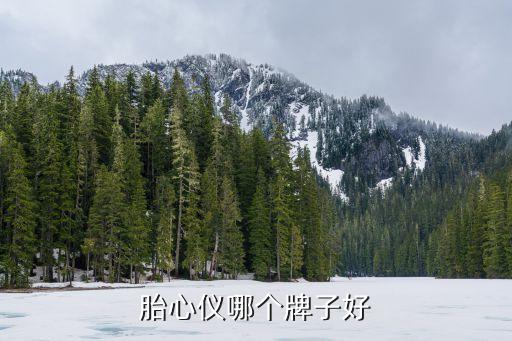 胎心儀哪個牌子好
