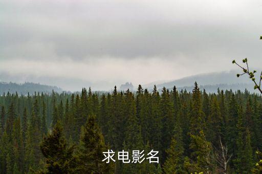 求電影名