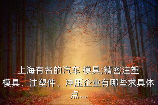  上海有名的汽車 模具;精密注塑 模具、注塑件、沖壓企業(yè)有哪些求具體點(diǎn)...