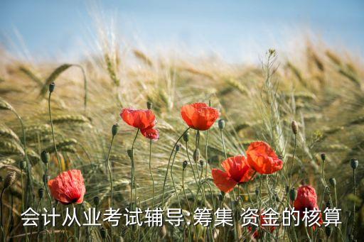 會(huì)計(jì)從業(yè)考試輔導(dǎo):籌集 資金的核算