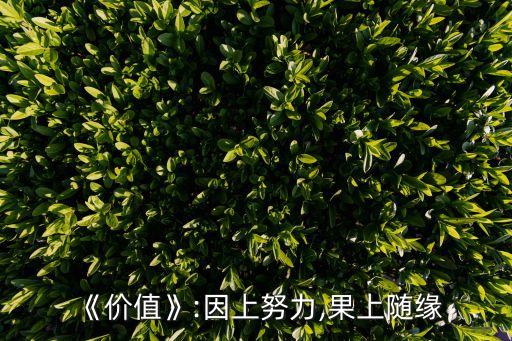 《價(jià)值》:因上努力,果上隨緣