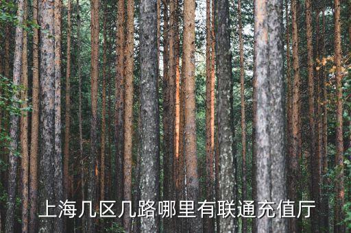 上海最有名的除了江蘇路營業(yè)部
