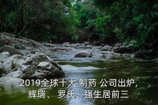 2019全球十大 制藥 公司出爐,輝瑞、 羅氏、強(qiáng)生居前三