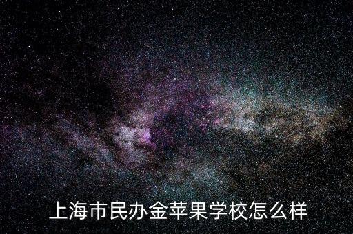  上海市民辦金蘋(píng)果學(xué)校怎么樣