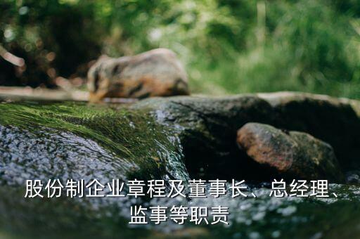  股份制企業(yè)章程及董事長、總經(jīng)理、監(jiān)事等職責