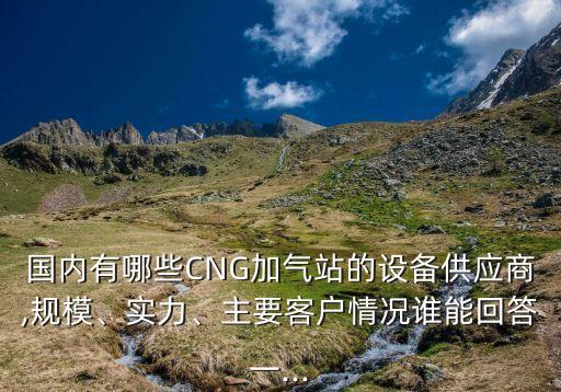 國(guó)內(nèi)有哪些CNG加氣站的設(shè)備供應(yīng)商,規(guī)模、實(shí)力、主要客戶情況誰(shuí)能回答一...