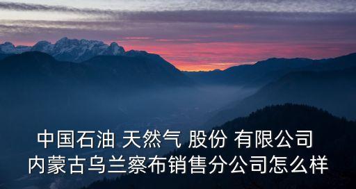 中國石油 天然氣 股份 有限公司 內蒙古烏蘭察布銷售分公司怎么樣