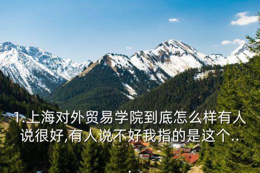 1.上海對外貿易學院到底怎么樣有人說很好,有人說不好我指的是這個...