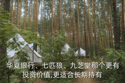  華夏銀行、七匹狼、九芝堂那個更有投資價值,更適合長期持有