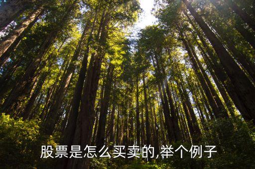簡(jiǎn)述股票的交易過程,簡(jiǎn)述買家交易操作過程