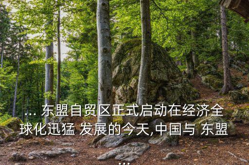 中國(guó)東盟10年發(fā)展