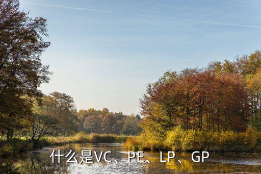 什么是VC、PE、LP、GP