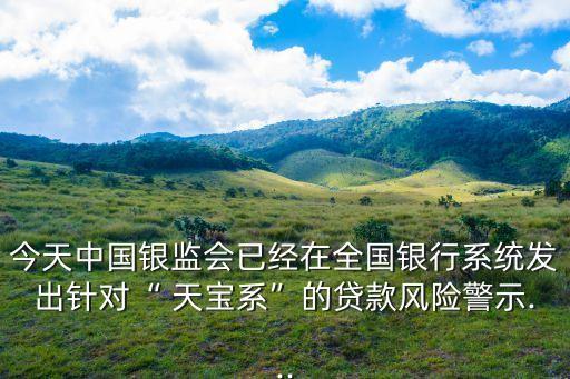 福建天寶集團(tuán)面臨破產(chǎn)