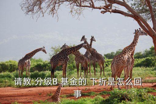 請教:分級B 基金的 下折是怎么回事