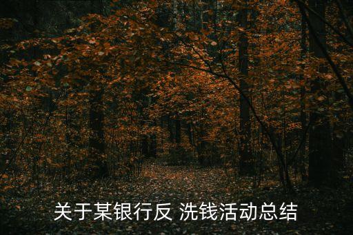 關(guān)于某銀行反 洗錢活動總結(jié)