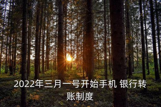 2022年三月一號開始手機(jī) 銀行轉(zhuǎn)賬制度