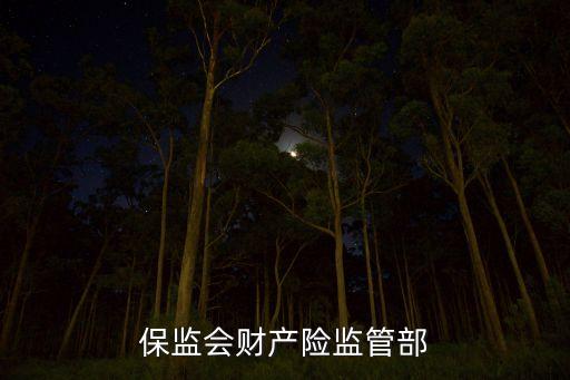 保監(jiān)會(huì)財(cái)產(chǎn)險(xiǎn)監(jiān)管部