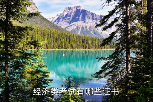 保險公司可以考afp么