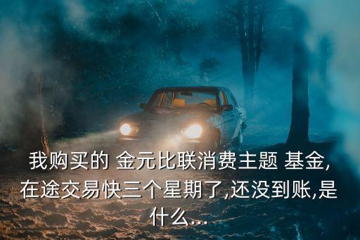 我購(gòu)買的 金元比聯(lián)消費(fèi)主題 基金,在途交易快三個(gè)星期了,還沒(méi)到賬,是什么...
