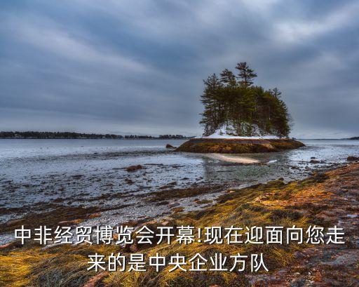 中非經(jīng)貿(mào)博覽會(huì)開(kāi)幕!現(xiàn)在迎面向您走來(lái)的是中央企業(yè)方隊(duì)