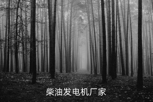 柴油發(fā)電機(jī)廠(chǎng)家