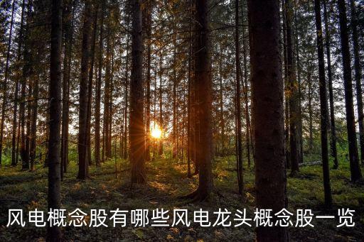 風(fēng)電概念股有哪些風(fēng)電龍頭概念股一覽