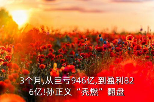 中關(guān)村發(fā)展集團(tuán)公司2015年財(cái)報(bào)