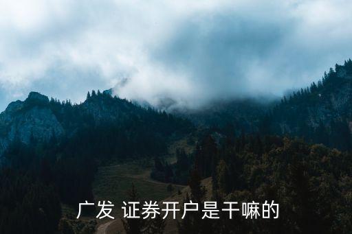  廣發(fā) 證券開(kāi)戶(hù)是干嘛的