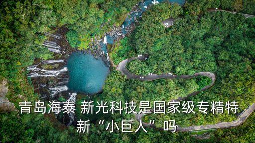  青島海泰 新光科技是國(guó)家級(jí)專精特新“小巨人”嗎