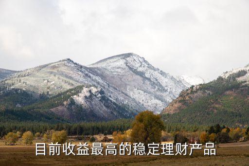 目前收益最高的穩(wěn)定理財(cái)產(chǎn)品