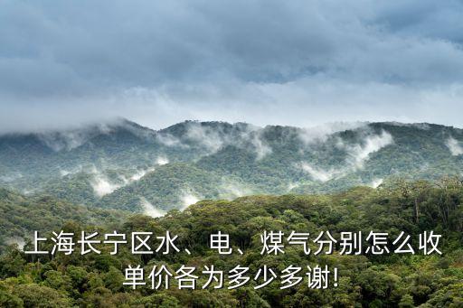  上海長寧區(qū)水、電、煤氣分別怎么收單價各為多少多謝!