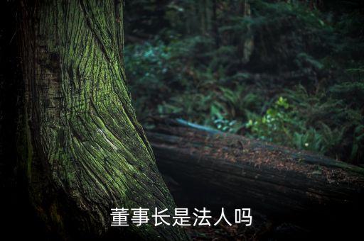 董事長(zhǎng)是法人嗎