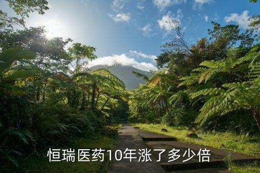 恒瑞醫(yī)藥10年漲了多少倍
