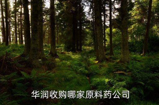  華潤(rùn)收購(gòu)哪家原料藥公司