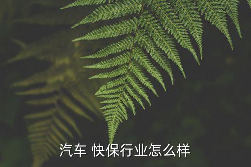 汽車(chē) 快保行業(yè)怎么樣